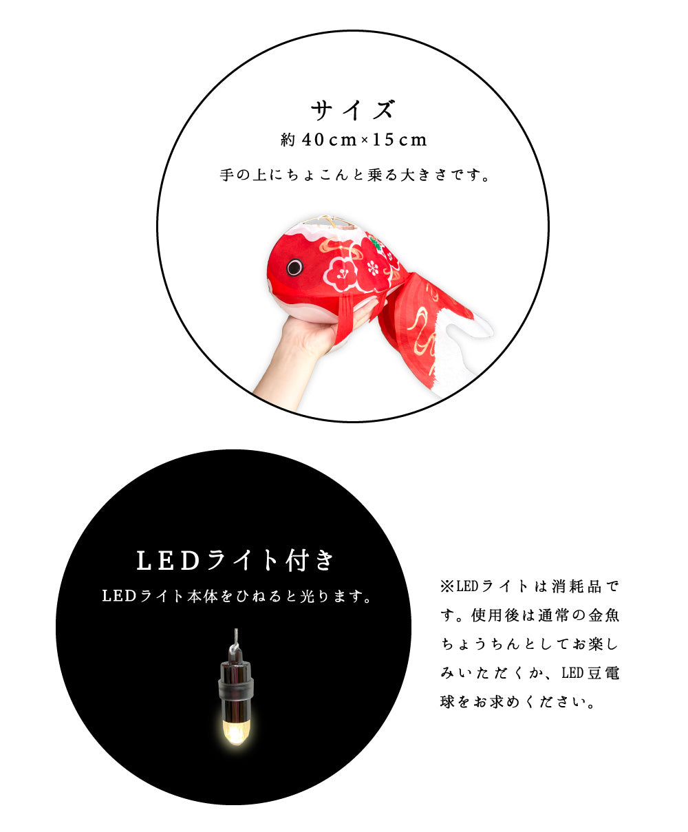 創作柳井金魚ちょうちん LEDライト付き