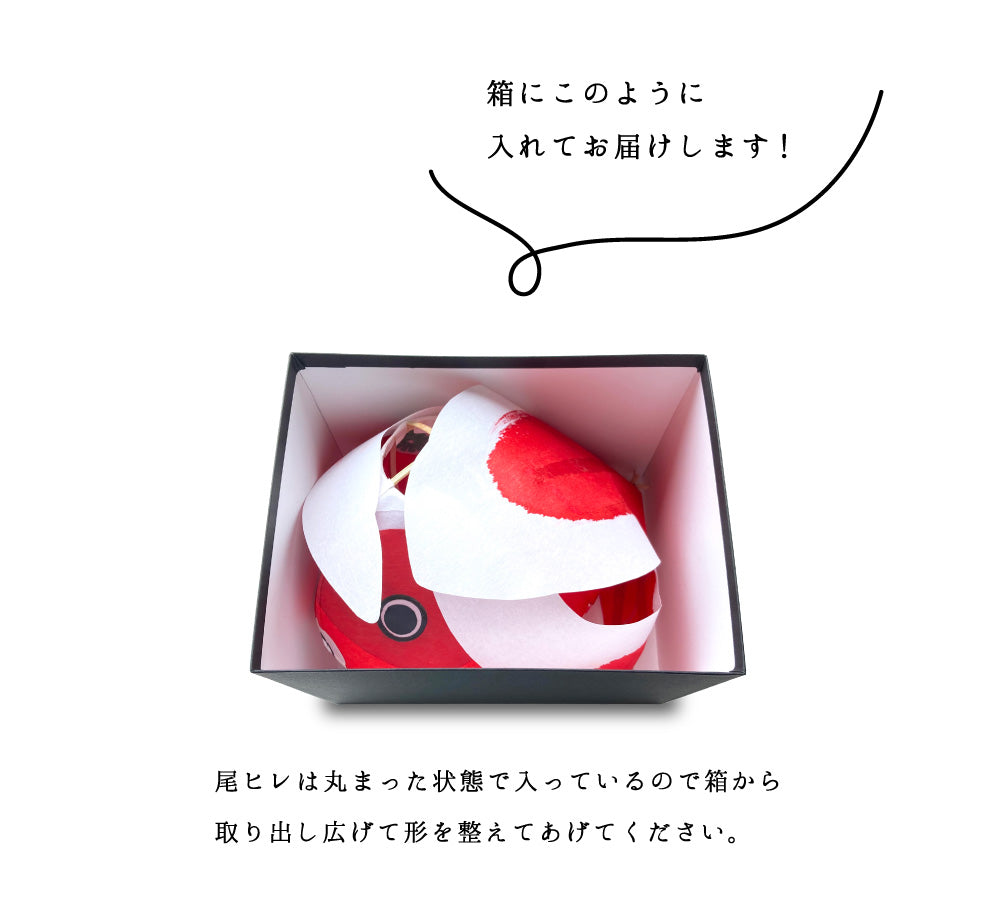 創作柳井金魚ちょうちん LEDライト付き