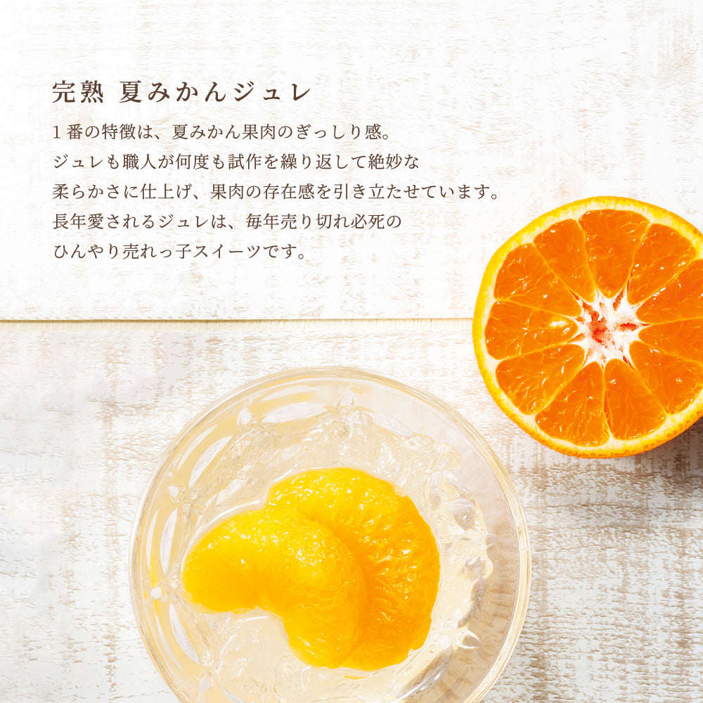【お中元】完熟夏みかんジュレ