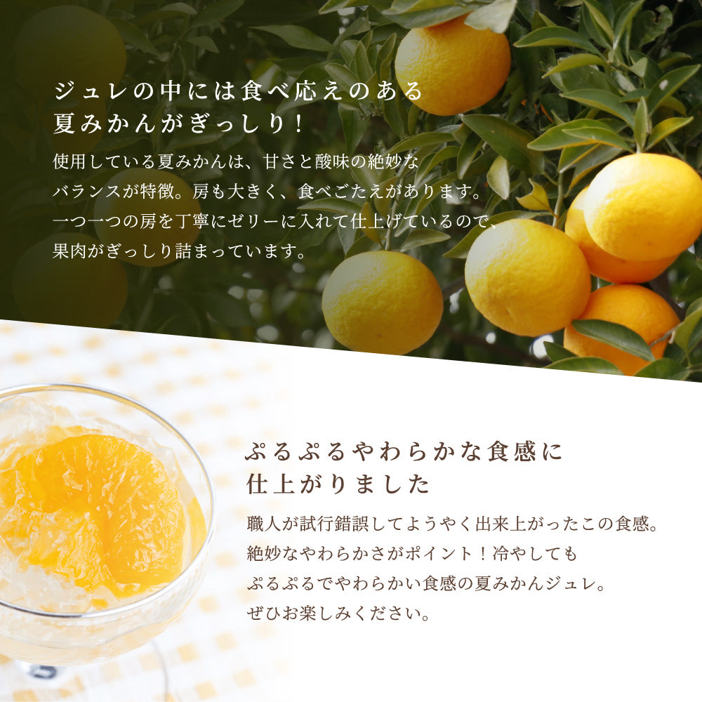 【お中元】完熟夏みかんジュレ