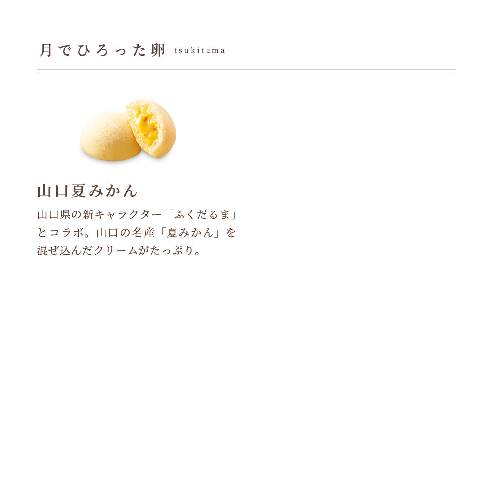 わたしのお菓子箱 大 12種20個