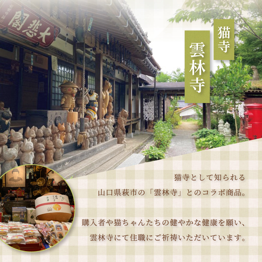 福猫どらにゃき（雲林寺コラボ）