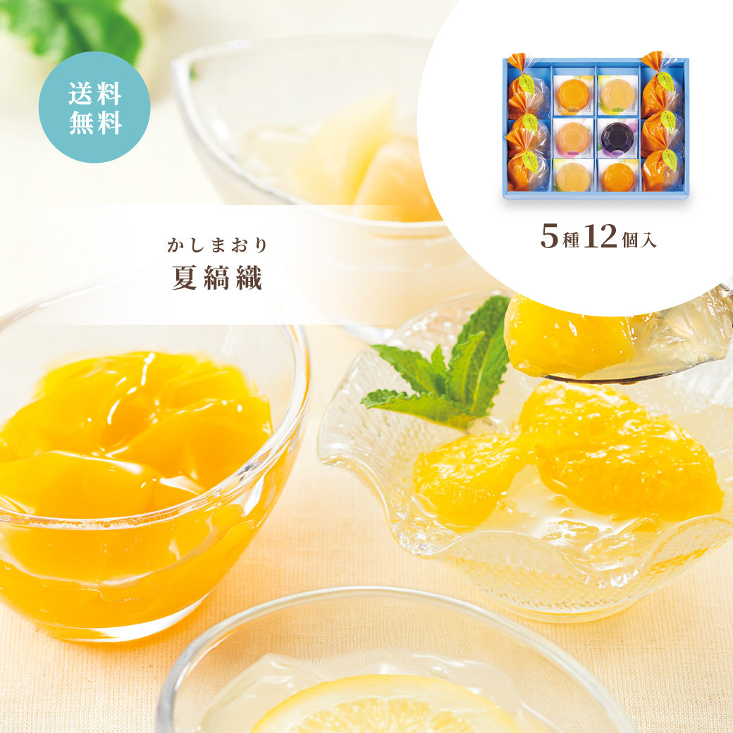 【お中元】夏縞織