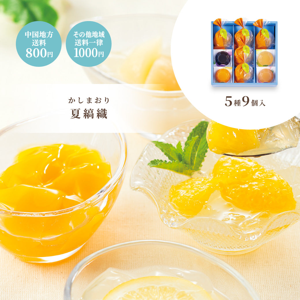 【お中元】夏縞織