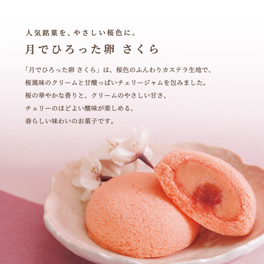 【お歳暮】桜ものがたり