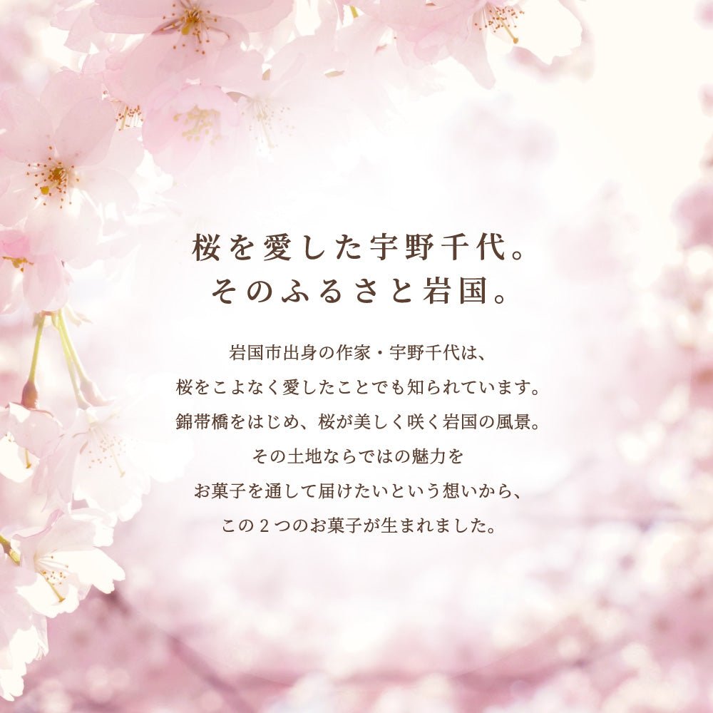 【お歳暮】桜ものがたり