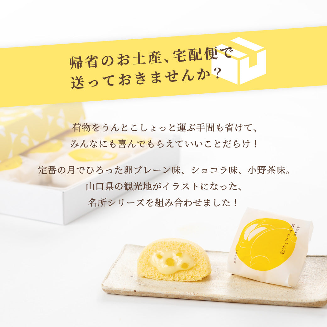 【10%OFF送料無料】月でひろった卵 手ぶらでらくちんパック【4種22個入】