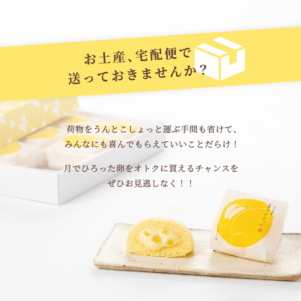 【25%OFF・送料無料】月でひろった卵 40個（4個入×10箱）｜手ぶらでらくちんパック｜6日後-5/17着までお届け可能