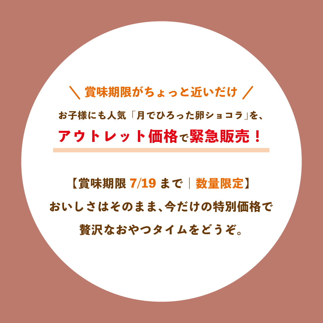 【30%OFFアウトレットSALE】月でひろった卵ショコラ 20個まとめ買いセット