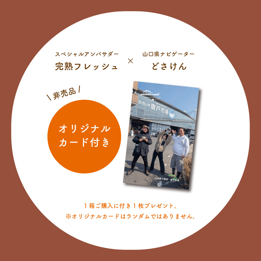 【山口県子供支援セット】寄付付き 月でひろった卵 ショコラ