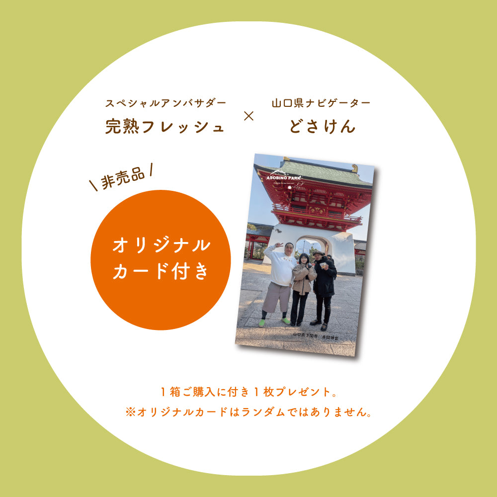 【山口県子供支援セット】寄付付き 月でひろった卵 小野茶