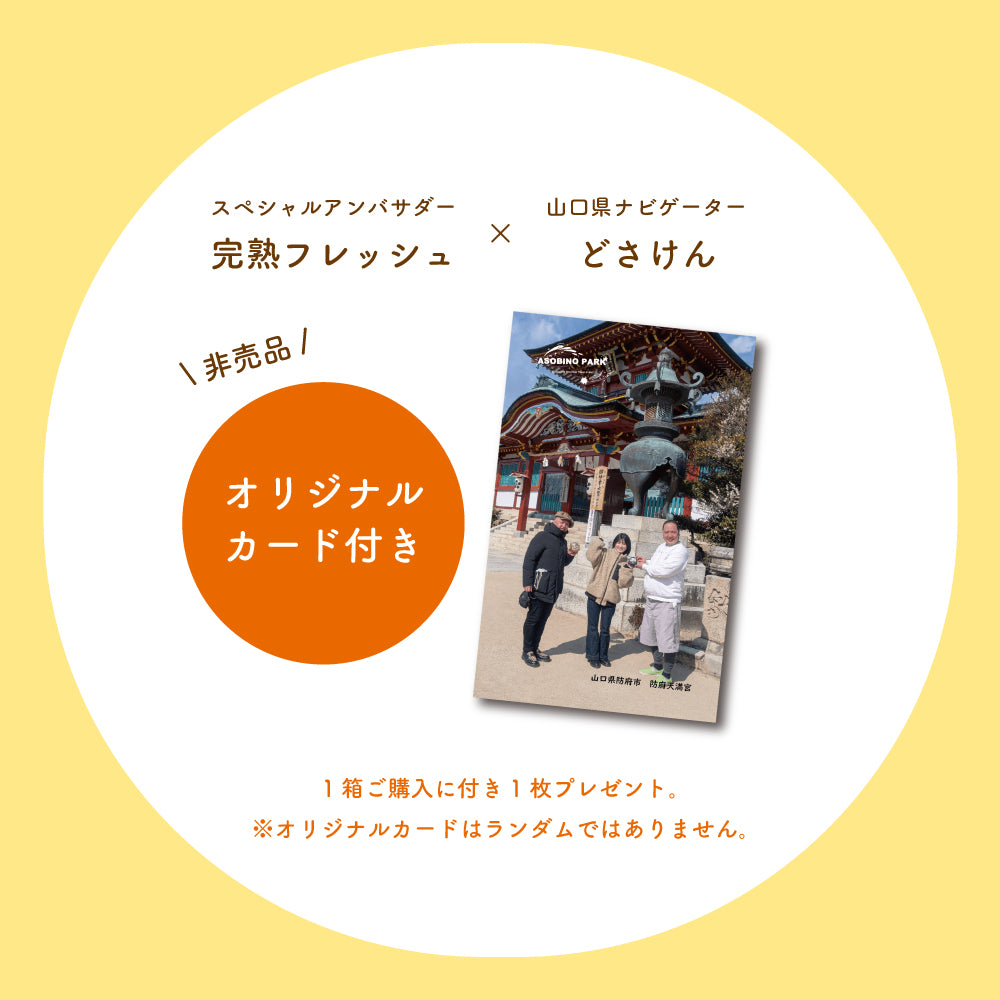 【山口県子供支援セット】寄付付き 月でひろった卵